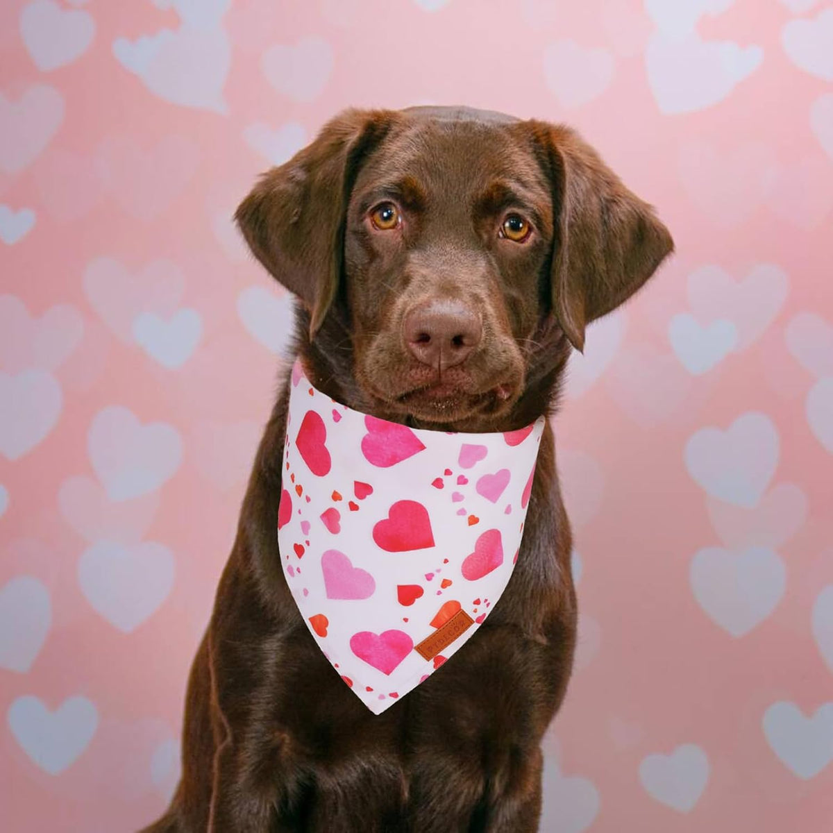 PTDECOR Halloween Dog Bandana, Ghost Pumpkin Dog Scarf - X-Large / Valentine - image 2