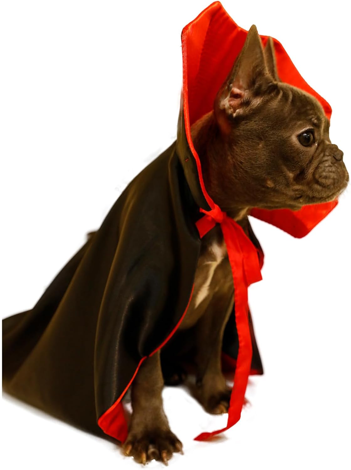 Dog Cat Vampire Cloak Costume for Small Medium Large Dogs Cats - Medium - image 3