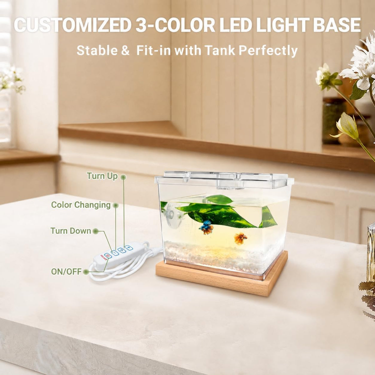 MoonOrange Mini Betta Fish Tank Kit with LED Light Base - Mini Tank Kit 01 - image 2