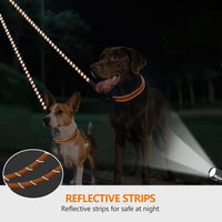 Taglory Double Dog Leash Coupler for Two Dogs - 30 Inch (Pack of 1) / Orange - image 4