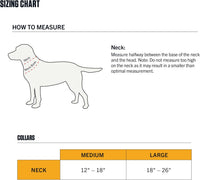 Carhartt Field Nylon Dog Collar Industry Red Medium – Essentials for Dogs - Industry Red / Large - image 4