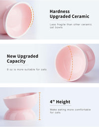 Cat Water Bowl, 15° Tilted and Raised Pet Food Dish - 1 Pack / Pink - image 4