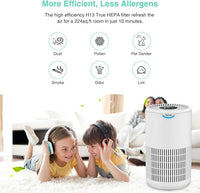 Tailulu Air Purifier Replacement Filter for D09 Air Cleaner, 3-in-1 True H13 HEPA Filter, 1 Pack