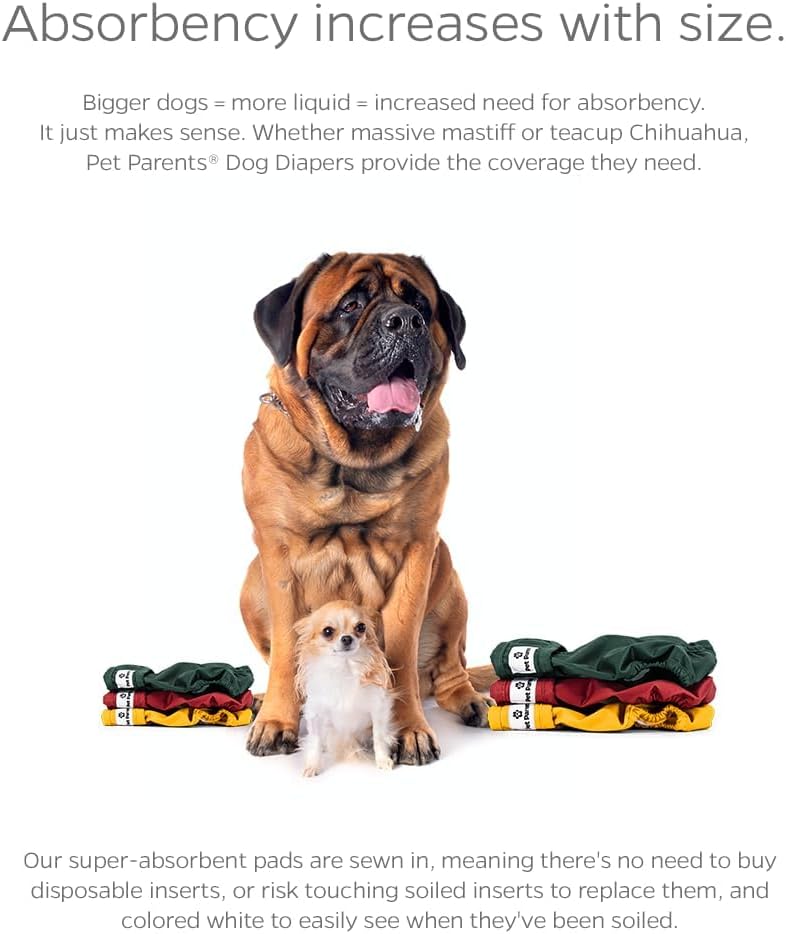 Pet Parents Washable Dog Diapers + Extendrs of Durable Doggie Diapers - Samba / X-Small (4-10") - image 4