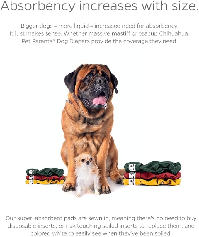Pet Parents® Washable Dog Diapers (3pack) + Extendrs® of Durable Doggie Diapers, Premium Dog Diapers Female (X-Small, Samba)