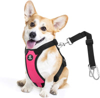 Dog Seat Belt Vest Harness for Car - Magenta / M (Chest: 19.7-26.4", Neck: 12.6-20.5")