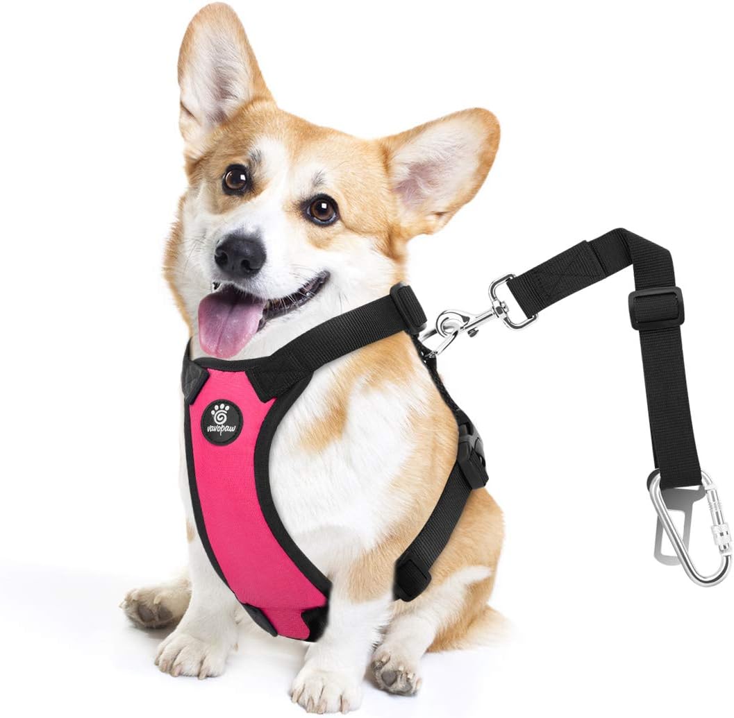 Dog Seat Belt Vest Harness for Car - Magenta / M (Chest: 19.7-26.4", Neck: 12.6-20.5")