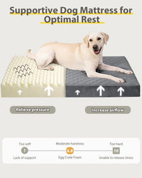 Orthopedic XL Dog Beds Large Sized with Washable Cover, 41x27 - 47.0"L x 29.0"W x 4.0"Th / Dark Gray - image 3