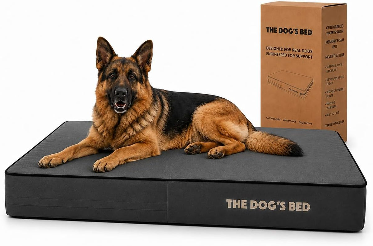 The Dog’s Bed Orthopedic Memory Foam Dog Bed - Grey with Black Trim / XL Beds (6" deep)