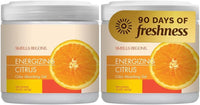 SMELLS BEGONE 15oz Gel Odor Eliminator - Citrus / 15 Ounce (Pack of 2)