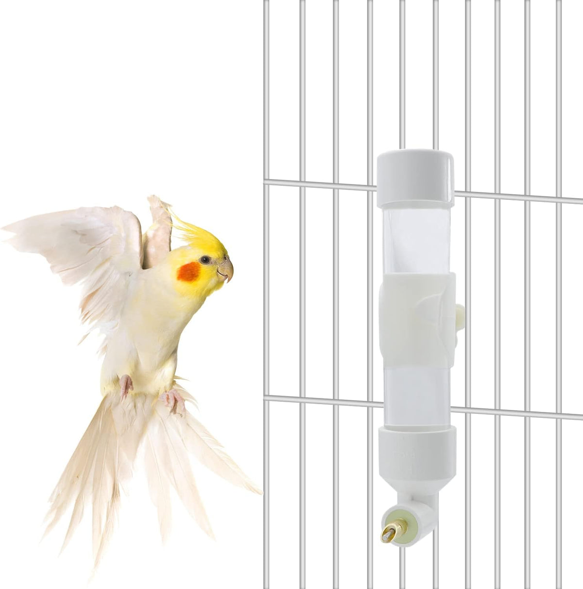 Bird Water Dispenser Parrot Waterer Automatic Bird Water Feeder - Small / White - image 2
