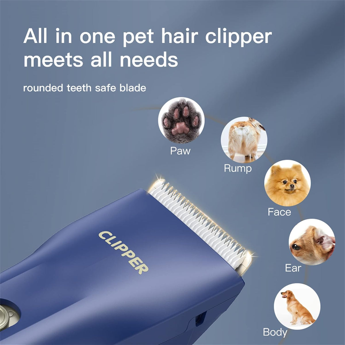 Professional Household Waterproof Low Noise Pet Hair Clippers - Ts006-blue - image 3