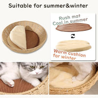Wooden Cat Tree for Large Cats, Modern Multi-Level Condo with Natural Wood, Indoor Cat Furniture for Medium and Big Pets (Cream Y909S)