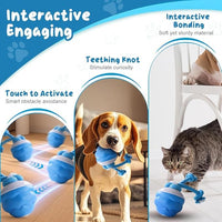 2026 New Interactive Pet Toy Ball, Smart Interactive Ball for Cats & Dogs, Electric Rolling Pet Toy Ball, Rechargeable Interactive Cat Toys for Bored Indoor Cats Kittens to Keep Busy (Orange)