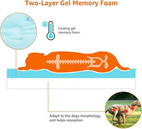 Amazon Basics Dog Bed with Cooling Gel Memory Foam, Pressure-Relief Support for Dogs up to 50lbs, Non-Slip Bottom, Machine Washable Cover, Large Sized (35" x 22"), Grey