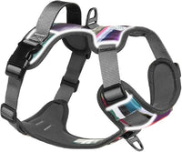 Embark Adventure Dog Harness, Reflective Trim No Pull Dog Harnesses for Small Sized Dogs - Military Grade Nylon, Front Clip with Gel Lined Handle. Soft & Padded Puppy