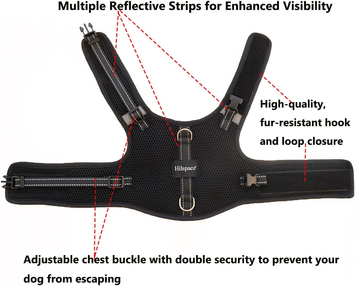 Mini Dachshund Harness, No Armpit Rub, Escape Proof, Reflective - Black / L: Chest 53-63cm (21"-25") - image 2