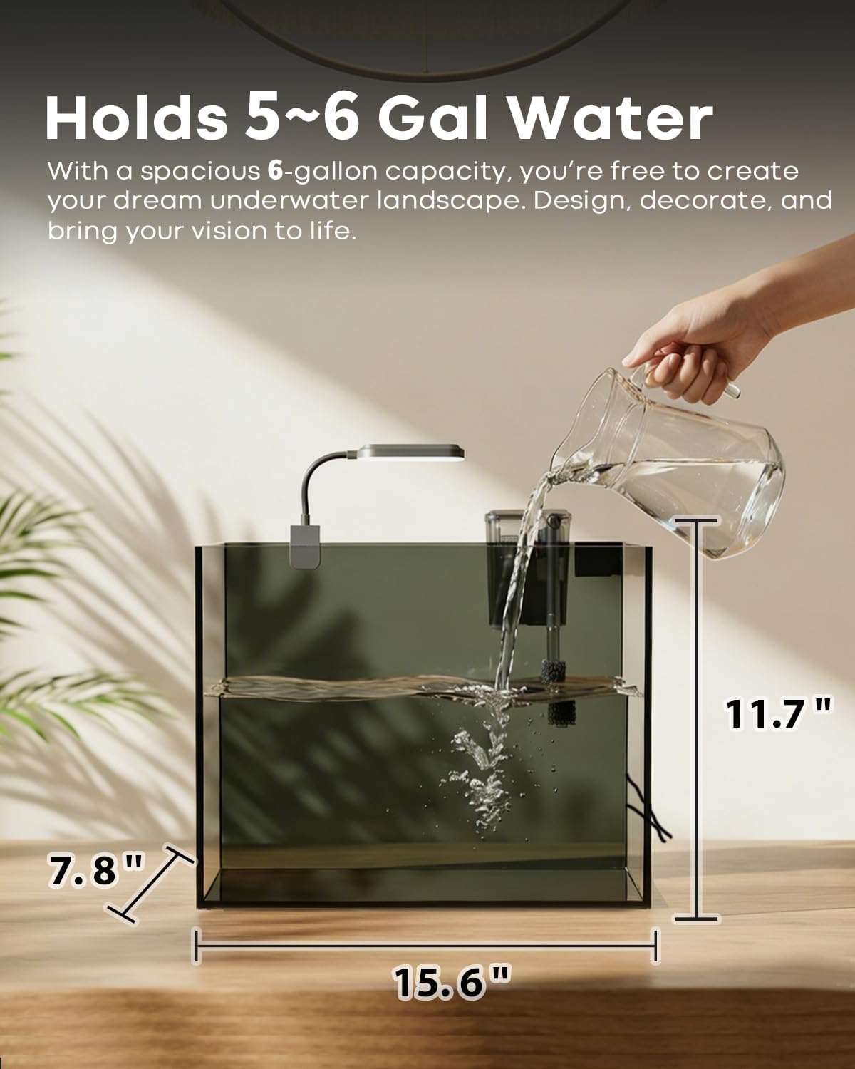 10 Gallon Aquarium Set Glass Fish Tank - 6 Gallon - image 2
