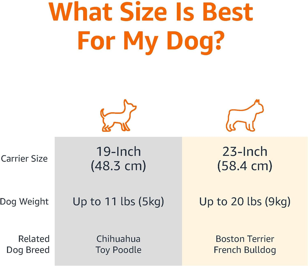 Amazon Basics Sturdy Portable 2-Door Top-Load Hard-Sided Pet Travel - Gray & Blue / 22.8"L x 15.0"W x 13.0"H - image 3