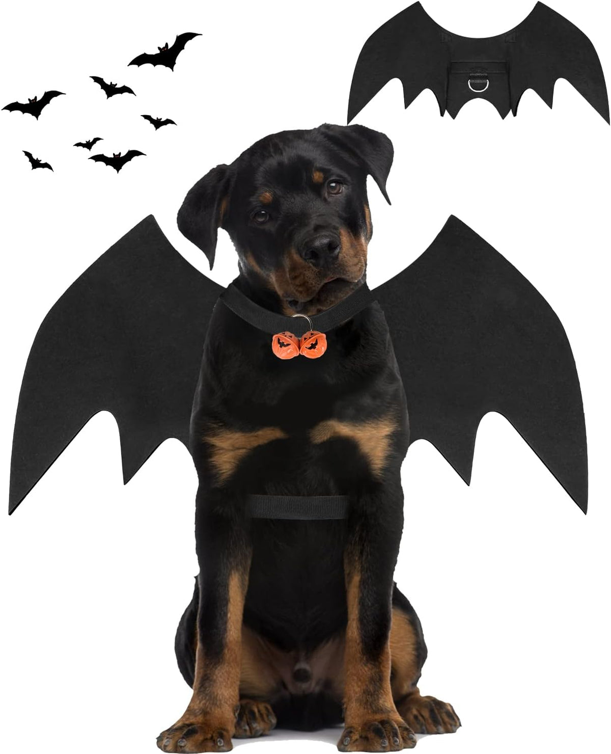 Halloween Dog Bat Wings Costume - Large