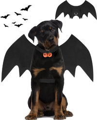 Halloween Dog Bat Wings Costume - Large