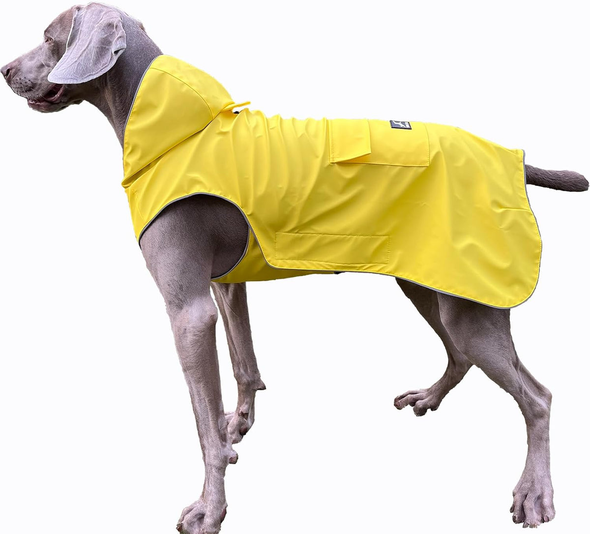 Dog Raincoat Waterproof Reflective Jacket - XXXX-Large / Yellow