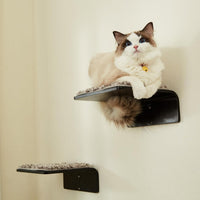 2 Set Cat Wall Steps, Wooden Cat Climbing Shelf for Wall - Steps - Walnut - image 4