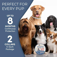 Flea and Tick Collar for Dogs, Cats – Natural Essential Oils – Long-Lasting 8 Month Protection – Waterproof, Adjustable – Safe for Puppies, Kittens, Sensitive Skin