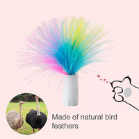 ORSDA 6Pcs Interchangeable Attachments Cat Feather Toys Replaceable Feathers and Fluffy Toy Accessories