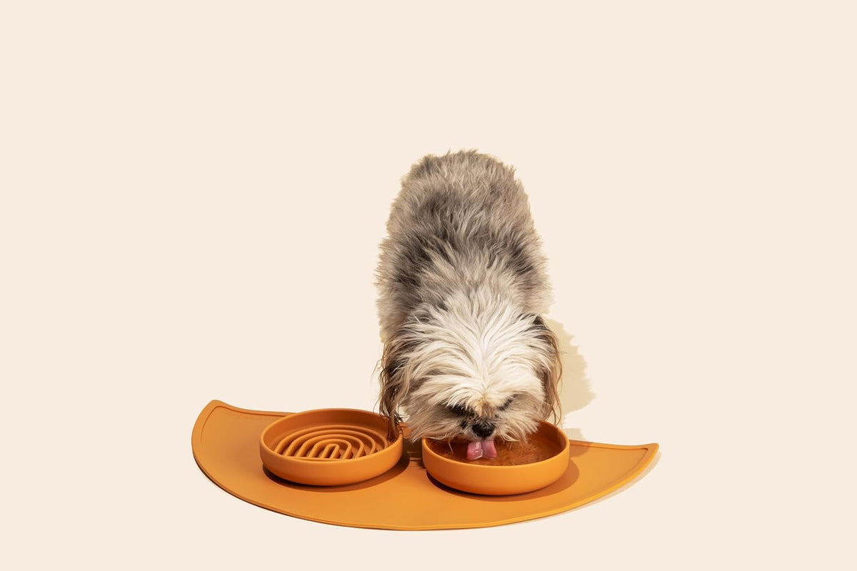The Perfect Dish, Silicone Dog Bowl for Food & Water - Charcoal / Small (6” Across x 1.25” Tall) - image 2