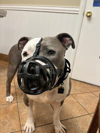 Mayerzon Dog Muzzle, Breathable Basket Muzzles for Small, Medium, Large and X-Large Aggressive Dogs Beagle German Shepherd Doberman, Cage Mouth Guard Stop Biting Chewing for Grooming Training