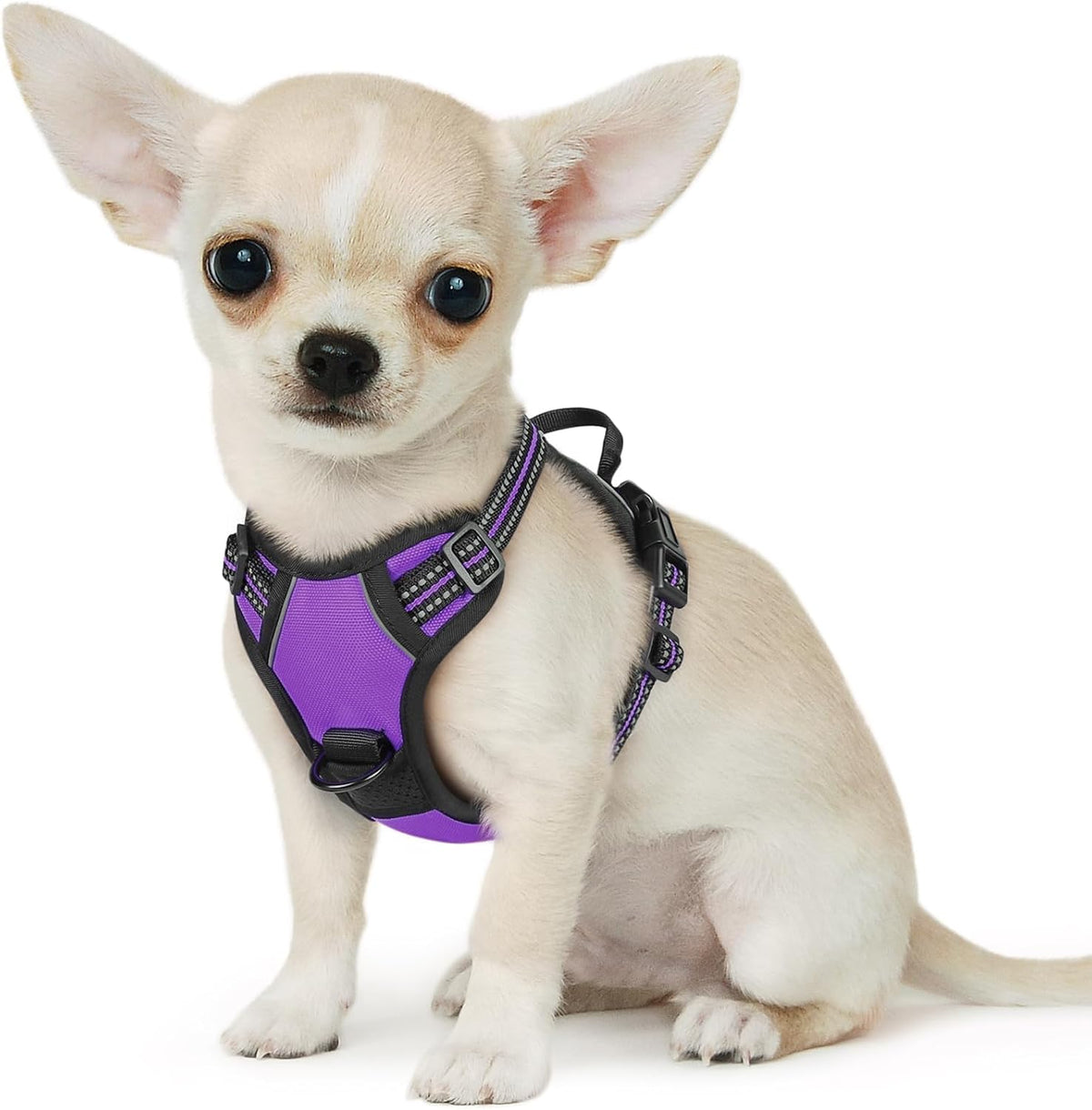 Eagloo Dog Harness for Large Dogs - X-Small / Purple
