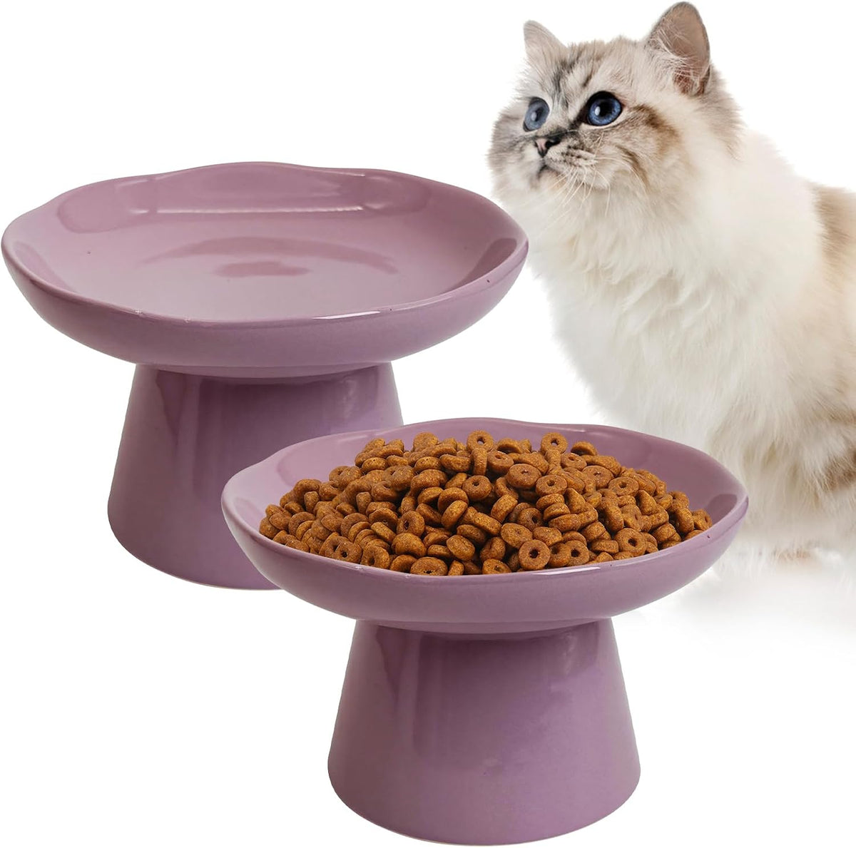 VCEPJH Elevated Cat Bowls 6.1in Wide Shallow Ceramic Raised Food Dish – Essentials for Cats - Purple(Pack of 2)