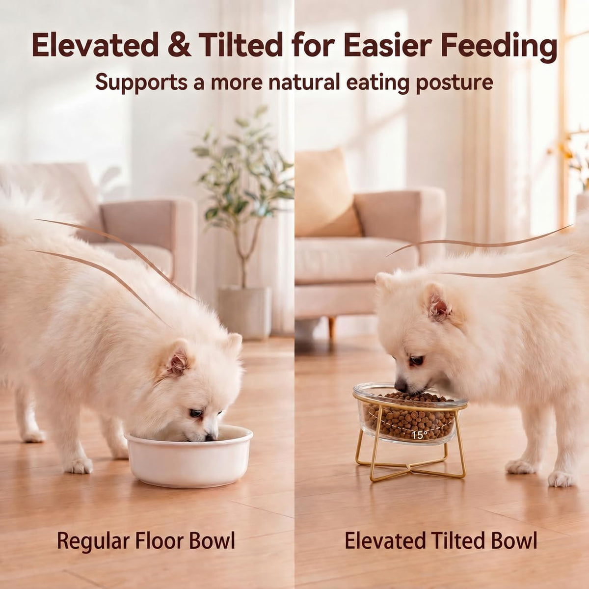 Small Glass Tilted Elevated Cat Dog Bowl Raised Cat Food Water Bowl - Small / Glass - image 3