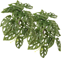 2Pack Reptile Plants for Terrarium - B-fake Swiss Cheese Plants Monstera Adansonii