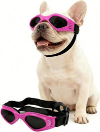 Clear Dog Goggles for Small Dogs - Fold Pink / Medium