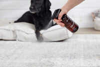 The Spruce Pet Stain & Odor Remover - 17 Fl Oz (Pack of 2) - image 2