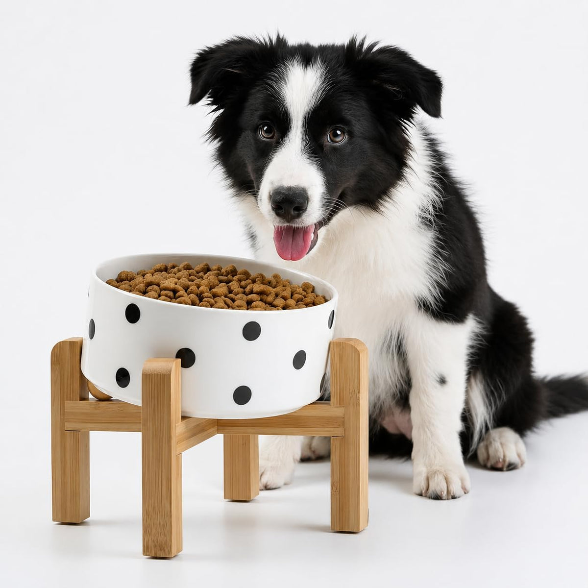 Black Raised/Elevated 15°Slanted Ceramic Dog Bowl for Small Breeds - Black Dot / 3.6 CUPS - Medium Dog Bowls