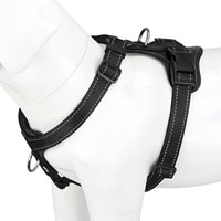 Plutus Pet No Pull Dog Harness with Leather Accents - XL / Black
