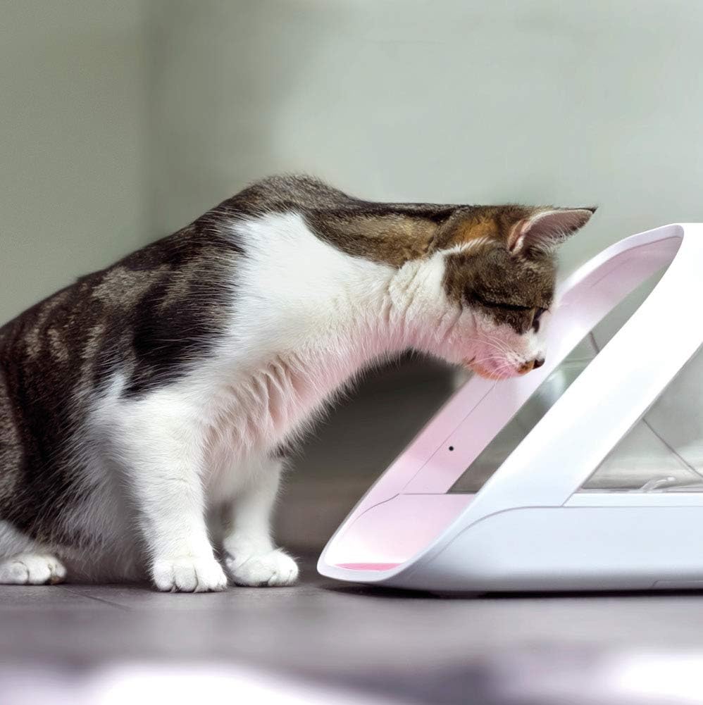 Sure Petcare -SureFlap, SureFeed, Microchip Pet Feeder - Connect Version - image 2