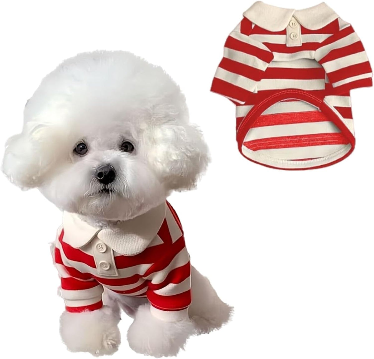 MANON ROSA Boy Dog Polo Shirt for Small Dogs, S - X-Large / Red