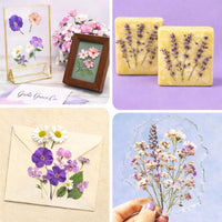 Greta Grace Co. extra large 11x11 wooden flower press kit with blotting papers and tools - view 4
