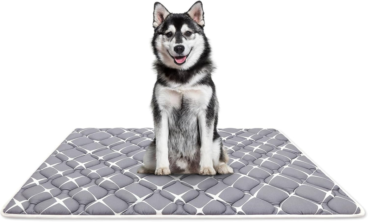 Bubble bear Dog Crate Mat, Ultra Soft - Gray / 48.0"L x 30.0"W