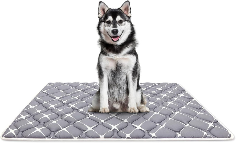 Bubble bear Dog Crate Mat, Ultra Soft - Gray / 48.0"L x 30.0"W