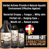 MICROBE-LIFT Sabbactisun Disease Treatment for Ponds and Outdoor Water Gardens, Disease Expellant for Pond Fish, 32 Fl Oz