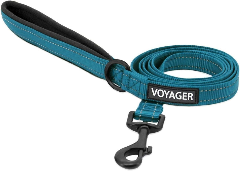 Best Pet Supplies Voyager Nylon Dog Leash - Turquoise / Medium (3/4" x 5ft)