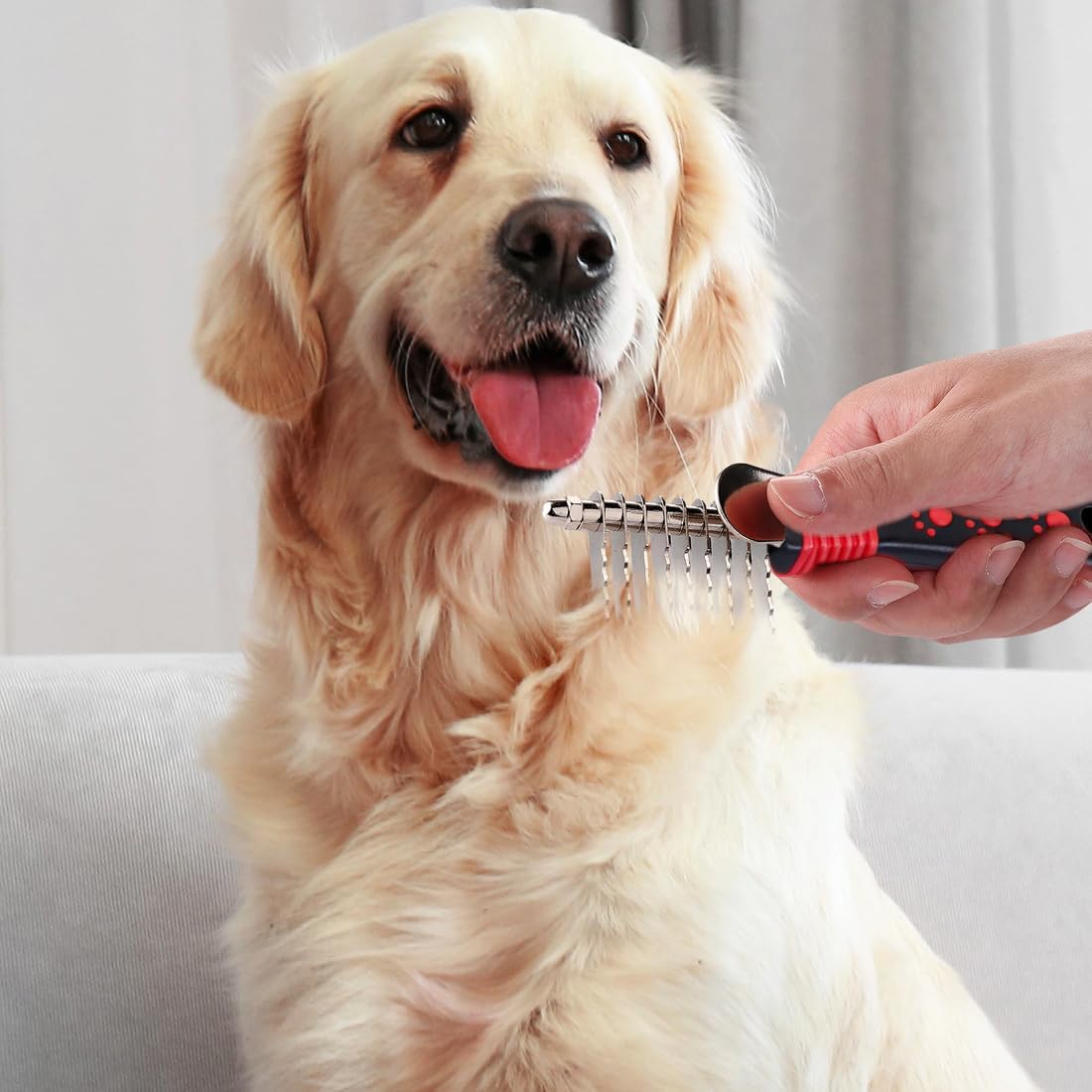 QUMY Dog Comb Kit-Dematting Rake Comb for Dogs Metal Cat Dog Grooming - image 4