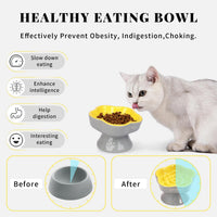 S&Q's CERAMICS Raised Slow Feeder Cat Bowl - 5.8" / Yellow - image 3