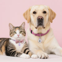 Personalized Dog Tag, Laser Engraving QR Code - Small Breeds - 1" / Purple - image 3