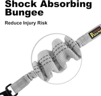 Plutus Pet Dog Seat Belt for Car, Adjustable Dog Car Harness with Carabiner Clip, Reflective Safety Dog Seatbelt Leash with Elastic Bungee, Gray